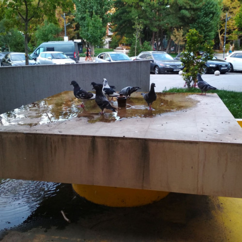 Vreme instabilă în Moldova, Dobrogea și Muntenia în ultimele zile de vară