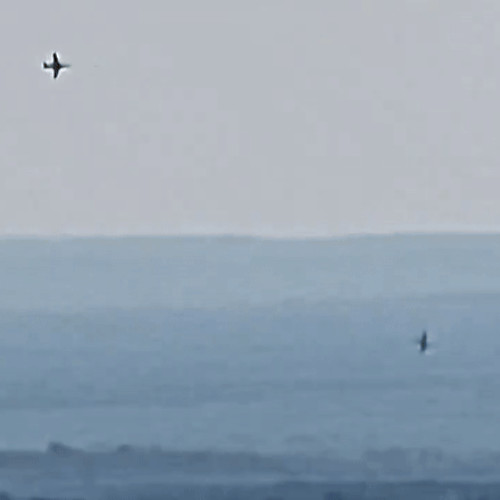 Soldați ucraineni doboară un avion de vânătoare rusesc Su-25