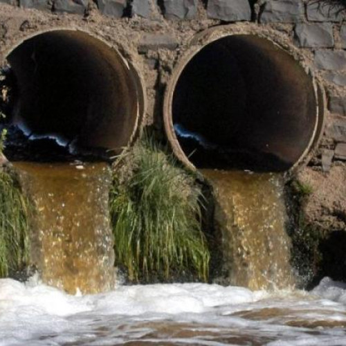 Cluj-Napoca se confruntă cu un miros insuportabil în zona râului Nadas