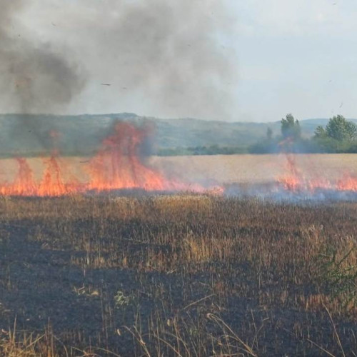 Incendiu de vegetație la Vintu de Jos: Pompierii din Sebes intervin