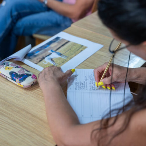 Prima întâlnire între reprezentanții Direcției Protecția Animalelor și șoferii de transport public din Ilfov