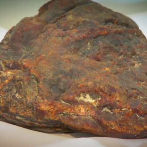 Cea mai mare bucată de chihlimbar din lume, descoperită în România