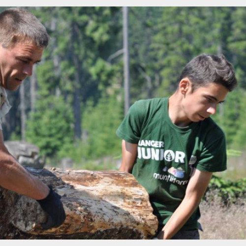 Programul național "Rangerii juniori" va începe în septembrie 2024