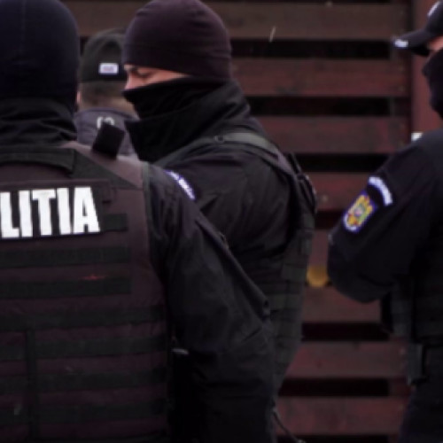 Arestare pentru furt calificat în comuna Dimitrie Cantemir, județul Vaslui