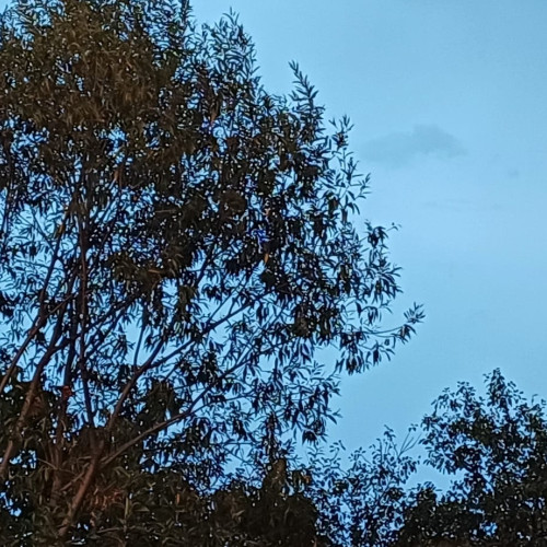 Vremea pentru luna septembrie, conform ANM