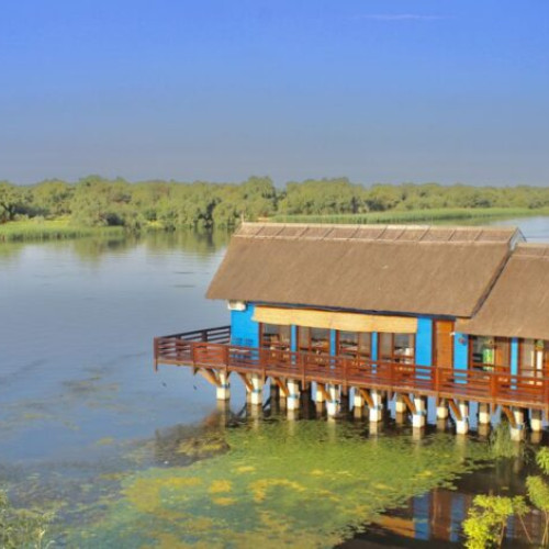 O vacanță de neuitat în Delta Dunării: sejur în bungalow-uri