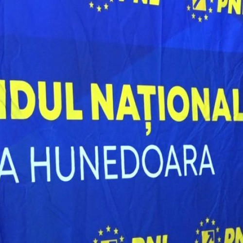 Lista candidaților liberali pentru Parlament