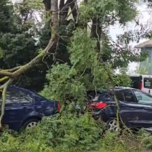 Furtuni pe litoral: inundații și apeluri la pompieri