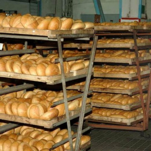 Tribunalul Botoșani declară falimentul societății Spicul Tisa Tudora SRL