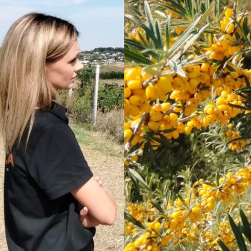 O tânără antreprenoare din Botoșani dezvoltă o afacere de succes în agricultura ecologică