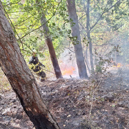 Incendiu de vegetație în zona cartierului Paclisa din Alba Iulia