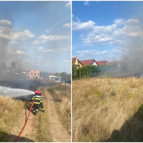 Incendiu de vegetație uscată în Alba Iulia
