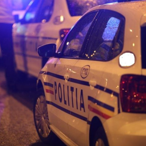 A vrut aventura, dar s-a trezit în arestul poliției