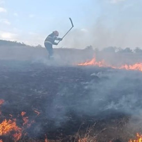 Incendiu de vegetație la Trușești - pompierii intervin rapid