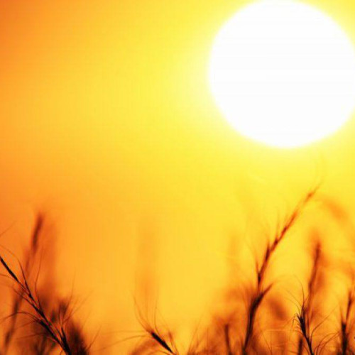 Avertizare meteo Cod galben de caniculă în mai multe județe din țară