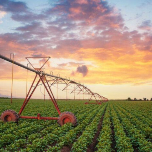 Problemele fermierilor români din cauza secetei și lipsei irigațiilor