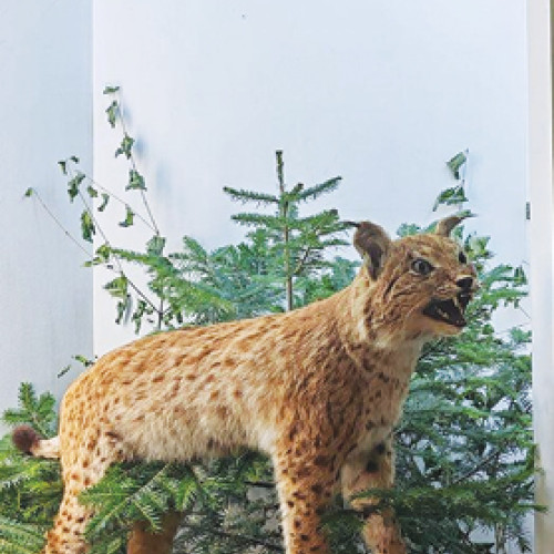 Informații actualizate privind datele de instruire