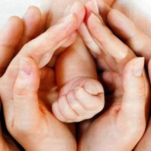 Noutăți: Nasteri, Căsătorii și Decese în Luna August