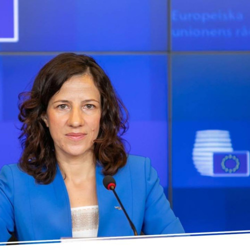 Roxana Minzatu, propunerea României pentru funcția de comisar european