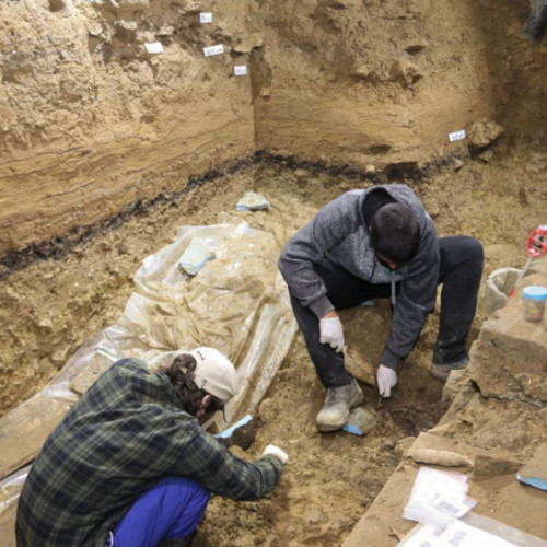 Peste 260 de schelete umane descoperite în Vaslui cu ocazia săpăturilor arheologice