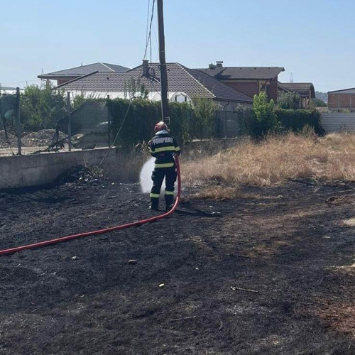 Incendiu de vegetație pe o stradă din Sebeș