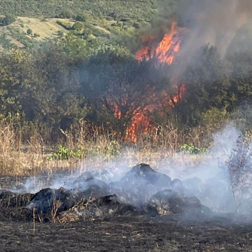 Incendiu de vegetație la Rahau, pompierii intervin cu două autospeciale