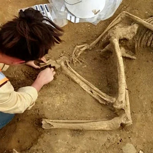 Descoperire arheologică în Vaslui: peste 260 de schelete umane găsite în vremea construcției spitalului