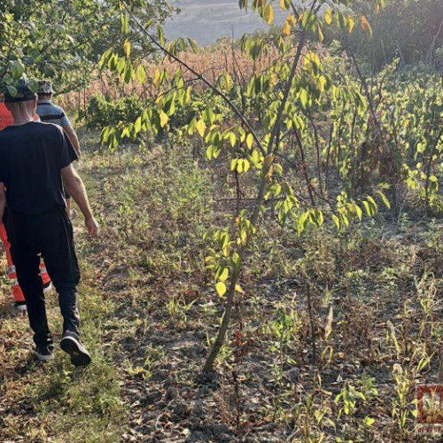 Descoperire macabră în comuna Zlatunoaia: un bărbat găsit mort în apropierea unei râpe