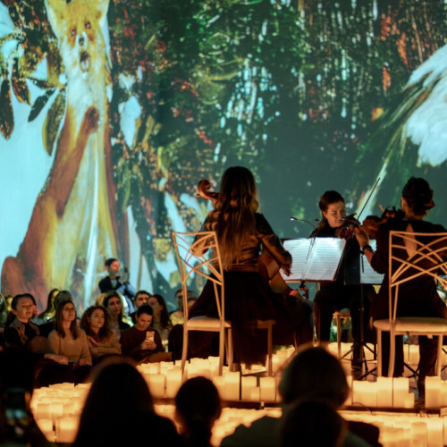 MINA Pop-Up Iași își așteaptă vizitatorii până pe 15 septembrie 2024