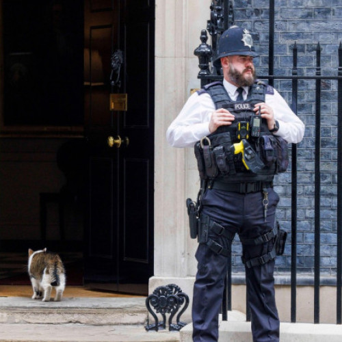 Sir Keir Starmer aduce o pisică nouă în Downing Street