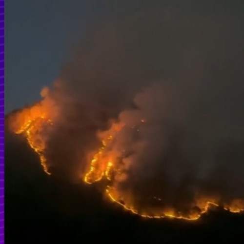 Incendiu de pădure în județul Vâlcea, peste 20 de hectare afectate