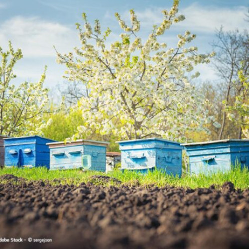 Măsuri de protecție pentru fermierii europeni aprobate de Parlamentul European