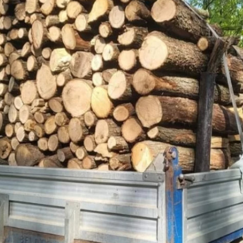 Controale privind transportul de lemn în Vrancea