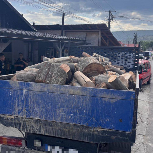 Controale asupra transportului de material lemnos în Fieni
