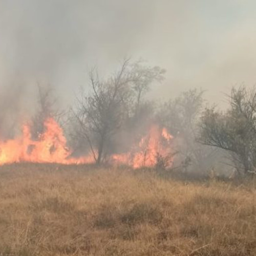 Incendiu devastator în apropierea localității Poiana, comuna Braești