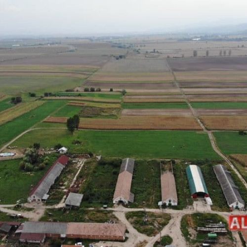 AFIR a alocat 3,1 milioane de euro pentru tinerii fermieri din Alba