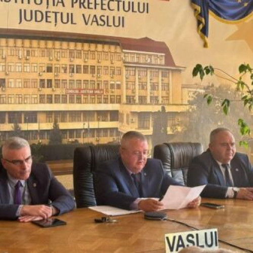 Plan Național de Combatere a Violenței Școlare discutat în videoconferință