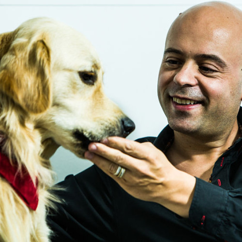 Goncalo da Graca Pereira conferențiază despre bunăstarea animalelor la USV Iași