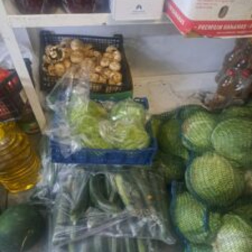 Controale sanitar-veterinare pe litoralul românesc pentru sezonul estival 2024