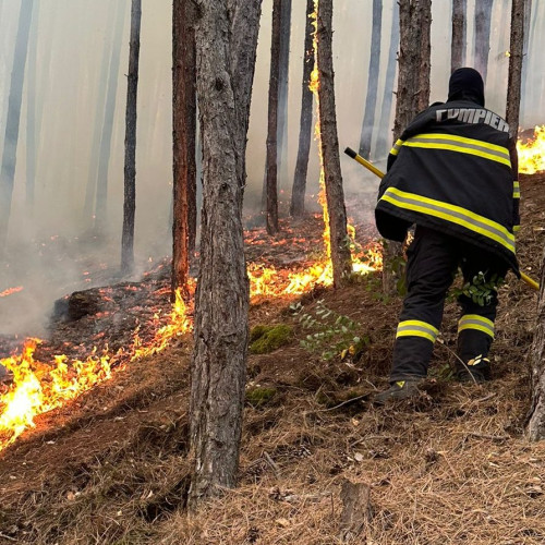 Incendiu de amploare la Sasciori, afectând 30 de hectare de pădure