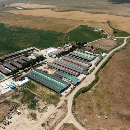 Panifcom va construi o stație de biogaz la Iași