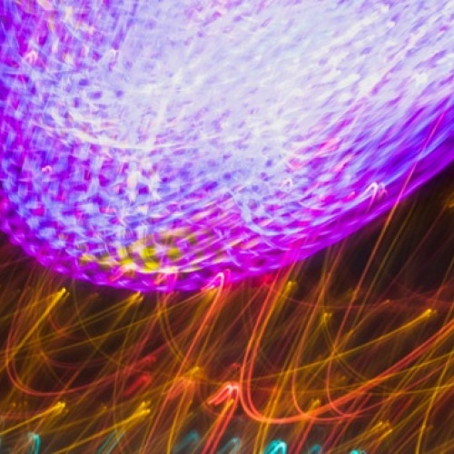 O descoperire uimitoare: "nuca de mare" are capacitatea de a întineri