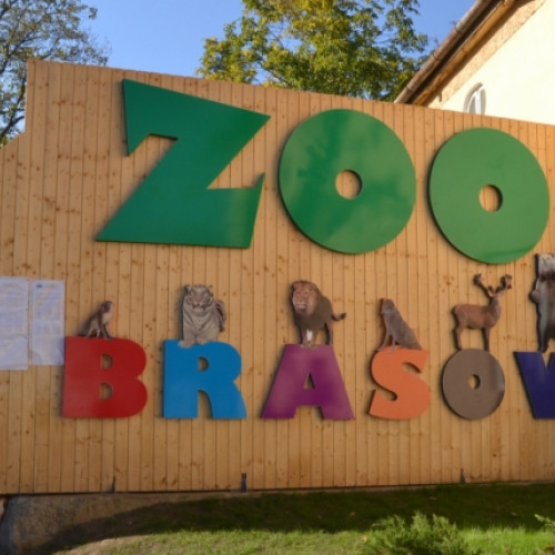 Programul de vizitare al Grădinii Zoologice Brașov se schimbă începând cu 9 septembrie