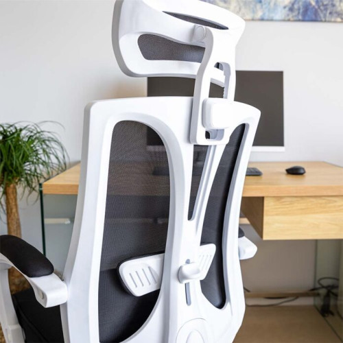 Cum să alegi un scaun ergonomic pentru birou cu suport lombar ajustabil