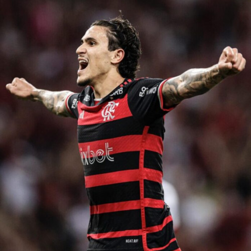 Pedro Guilherme Abreu dos Santos, accidentare gravă înainte de competiția internațională