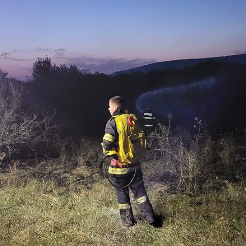 Trei incendii de vegetație în județul Satu Mare