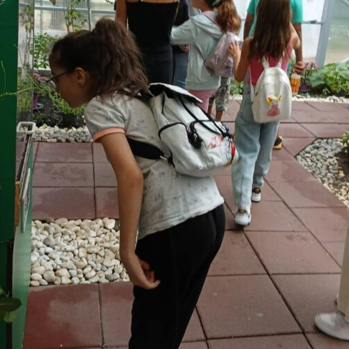 Vizită educativă pentru copii la Muzeul “Grigore Antipa”