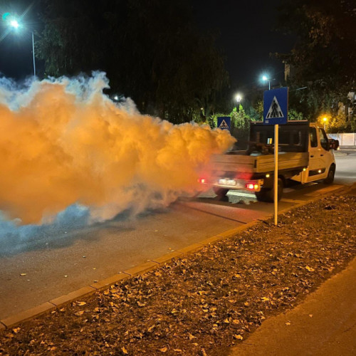 Orașul Galați, invadat de insecte