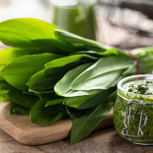 Leurda din Botoșani, exportată cu succes în Occident