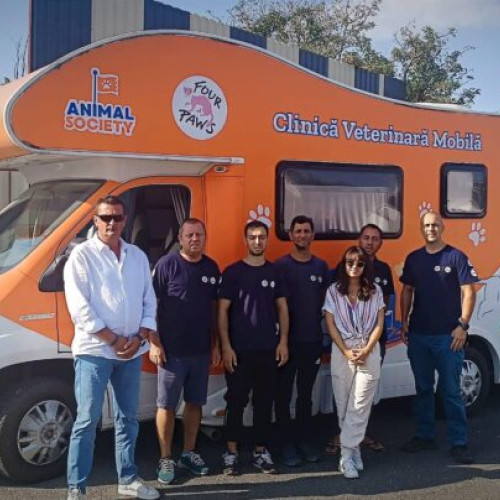 Program gratuit de sterilizare și microcipare pentru câini în Ilfov